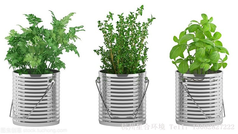 绿化养护金属花盆