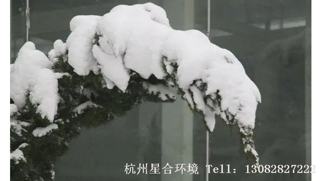 小区绿化养护-小区绿化养护园林植物雪灾的预防和管理