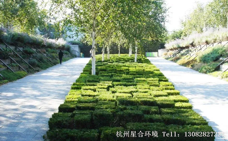 绿化施工