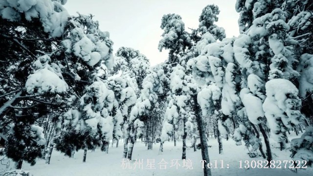 小区绿化养护-小区绿化养护中寒冬渐近，防冻剂怎么用起来？