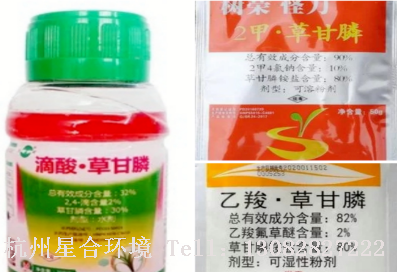 绿化养护