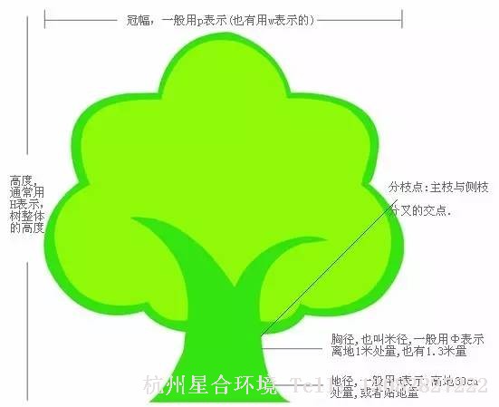 景观：在园林施工绿化行业中，常有苗木高度、冠径、胸径、地径、土球直径、苗木长度、全冠苗、非全冠苗、反季节种植等术语，经市园林苗木价格信息编制组专家研究，决定在新园林定额有关规定基础上，结合具体园林绿化施工情况重新解释如下