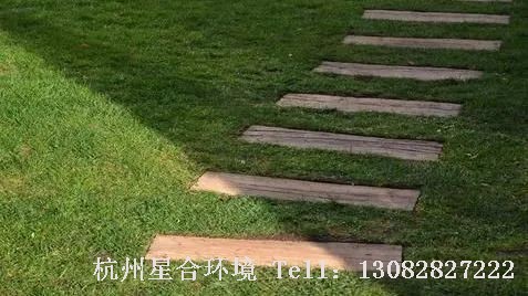 庭院设计