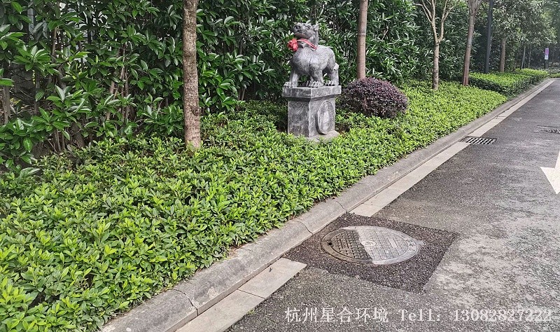 厂区绿化养护