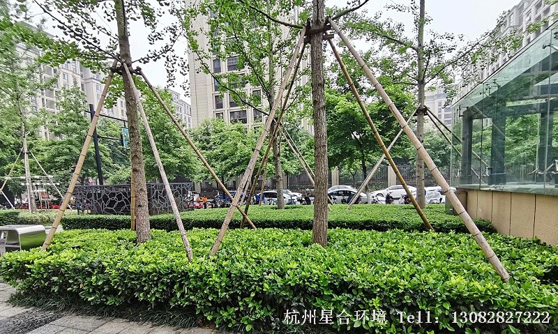 厂区绿化养护