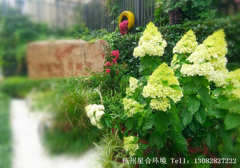 小区景观设计