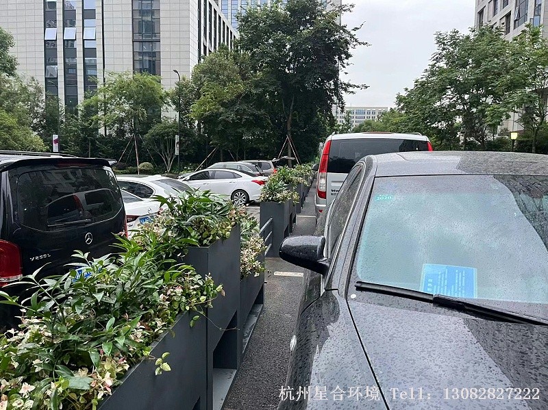 商业绿化工程局部