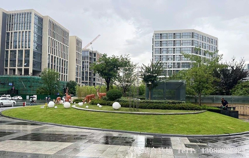 商业绿化养护草坪