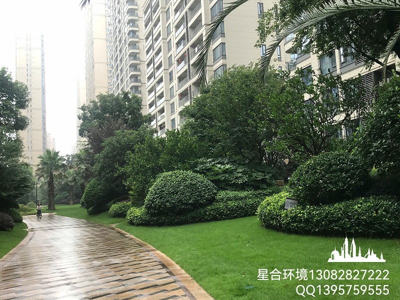 园林绿化养护中绿篱如何修剪才美观