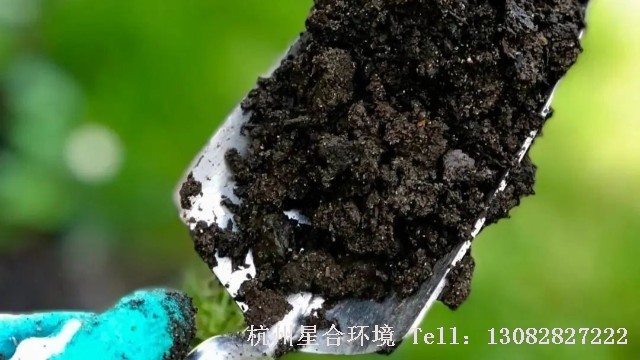 绿化工程