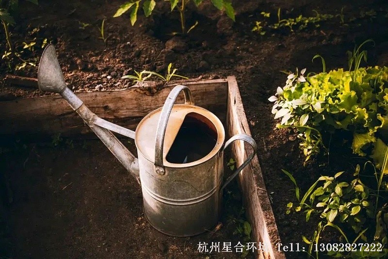 绿化工程