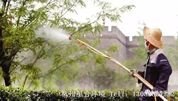 绿化养护