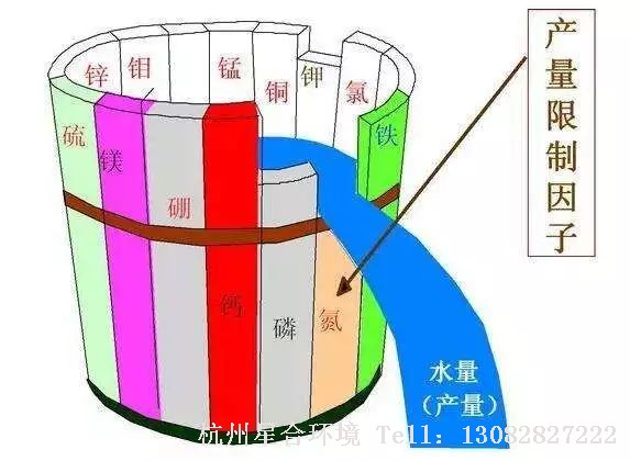绿化养护