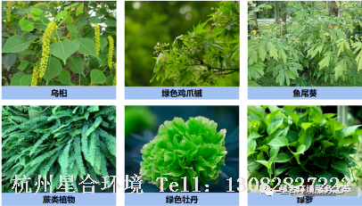 园林设计
