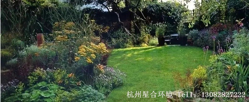 绿化养护