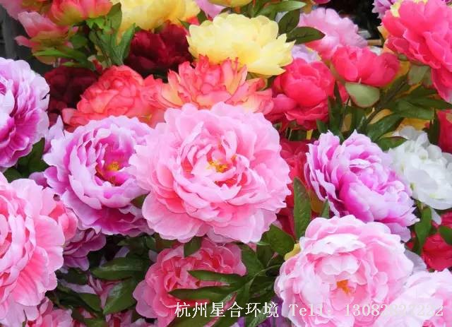 绿化养护