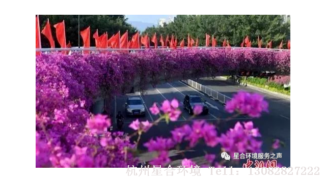 花园设计