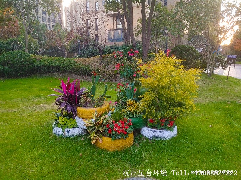 星合环境案例