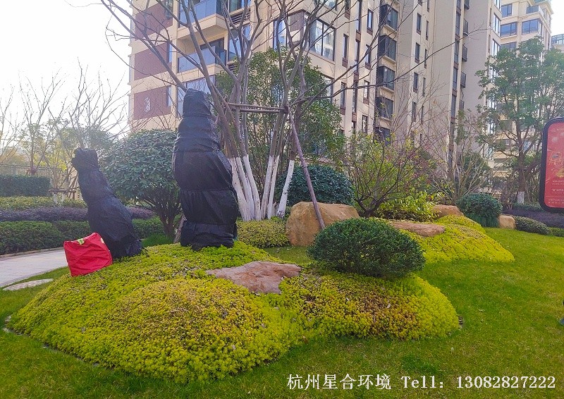 星合环境小景工程