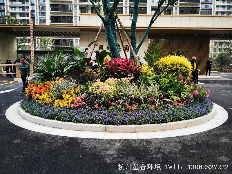 星合环境花坛