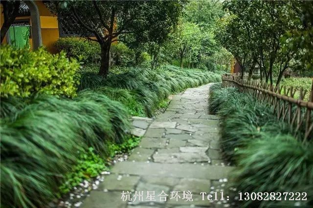 通气兼遮形：若以玄空学的观点看宅子，向盘挨星的生气在前面，可是远方却有形煞，庭院设计可以栽种竹子或间隔距离较稀疏一点的植物，来把凶形遮住而又使吉气能通过。