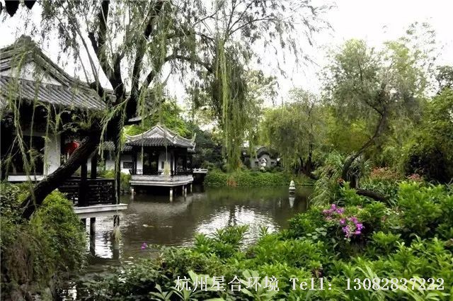 庭院设计最忌讳的是门前栽桑，院中植杨，屋后种柳。