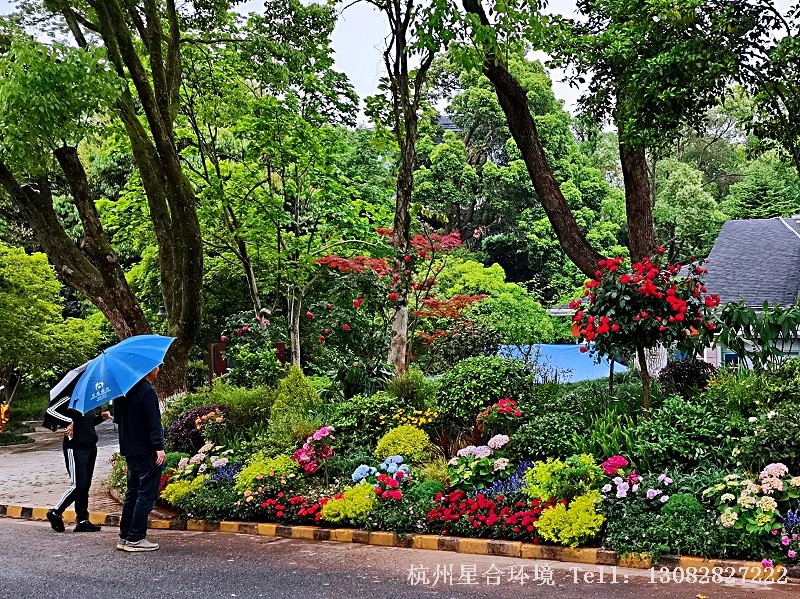 小品花境工程-局部小景效果展示