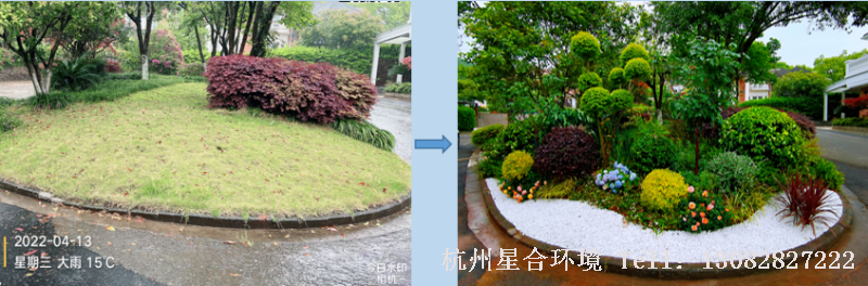 小品花境工程-美化前后效果对比2