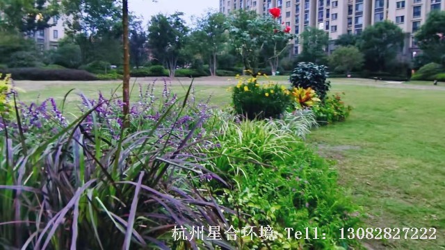 绿化工程-小区花境-眼光城翡丽湾小花境项目