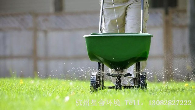 草坪养护