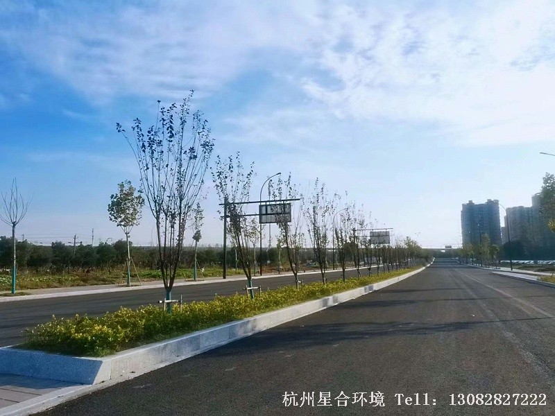 市政绿化工程-4