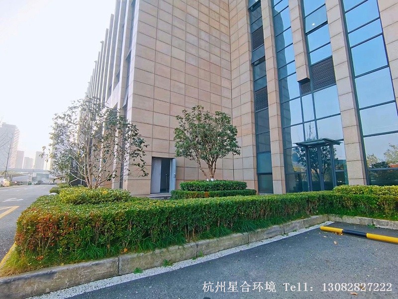 厂区绿化养护-灌木色带修剪效果3