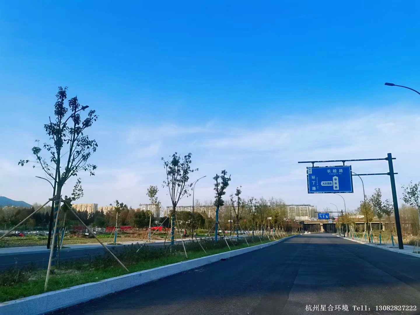 市政绿化工程-2