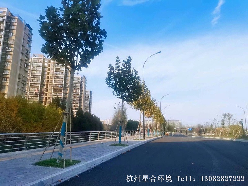 市政绿化工程-3