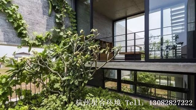 花园设计