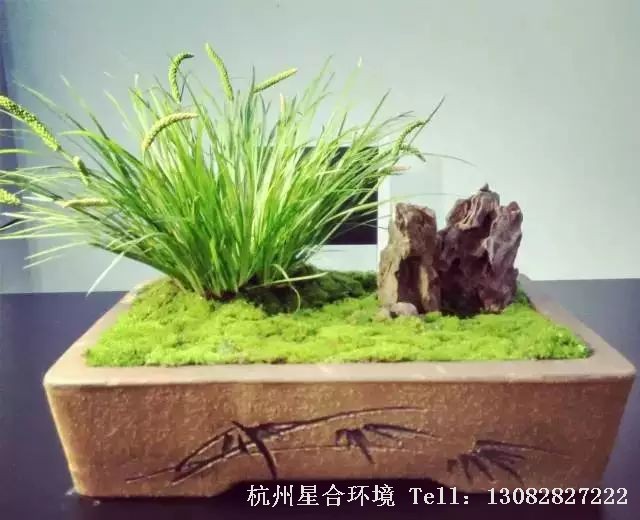 花园养护