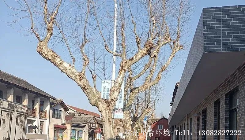 绿化工程
