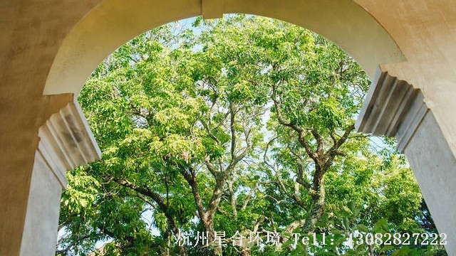 绿化设计