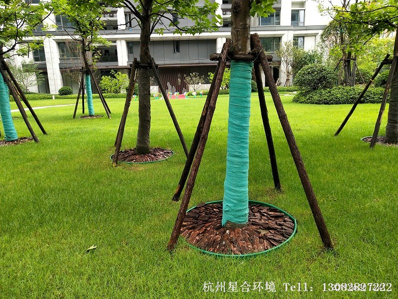 小区绿化养护树木支撑