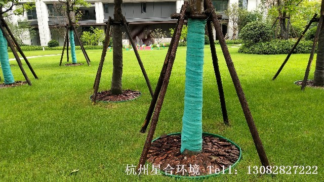 小区绿化养护