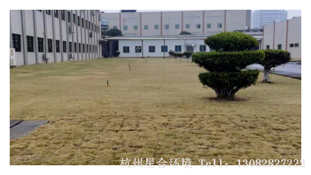 绿化养护