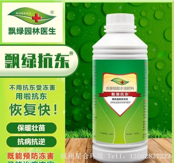 冷蔫一般问题不大，在中午气温升高后植物会逐渐复原。但庭院养护依然不要长时间让其处于寒冷的环境，注意保暖。在降温前半个月定期使用飘绿抗东可以有效缓解冷害。