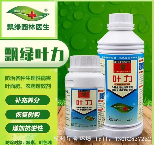 加强检查，对于虫害很难防治，家庭用药不便。建议定期使用雅虱马，叶力喷施。