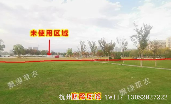 绿化养护喷施飘绿草衣，可以立马变绿。草衣富含海藻提取物，快速复绿同时能够逐步被草坪吸收作为叶面肥使用，安全高效。