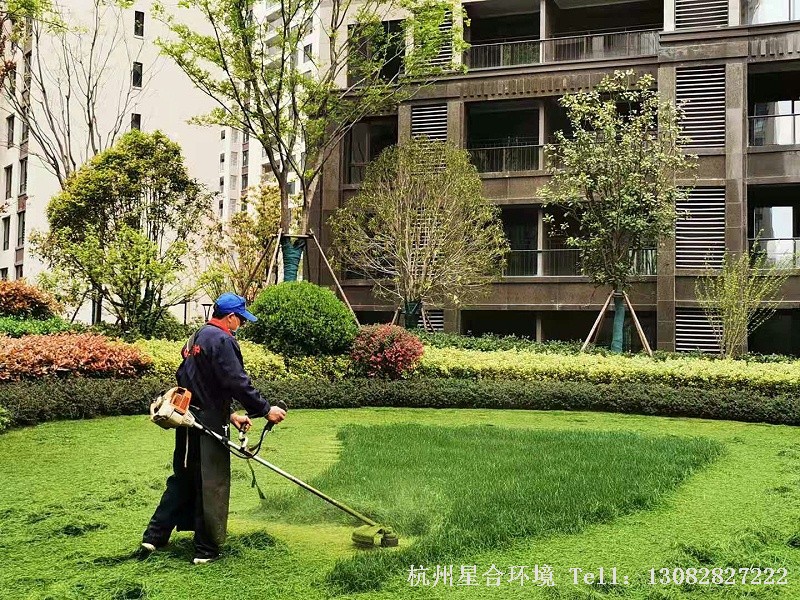 园林绿化养护中草坪修剪工作进行中