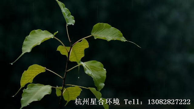 绿化设计