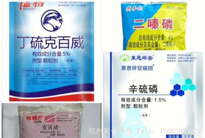 绿化养护