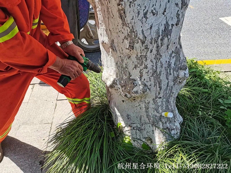 绿化养护