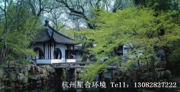 植物在古典园林设计中的形式有许多种,有高大的树木,如松、柏、梧桐等,拙政园的梧竹幽居,就是因为亭外有梧有竹而命名,因为梧能招凤,所以把梧桐看成是吉祥之物。