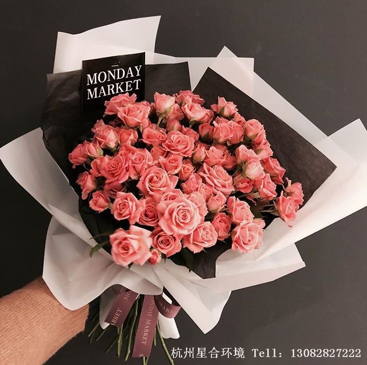 绿化养护-珊瑚色玫瑰